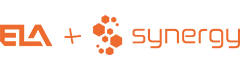 Synergy Logo